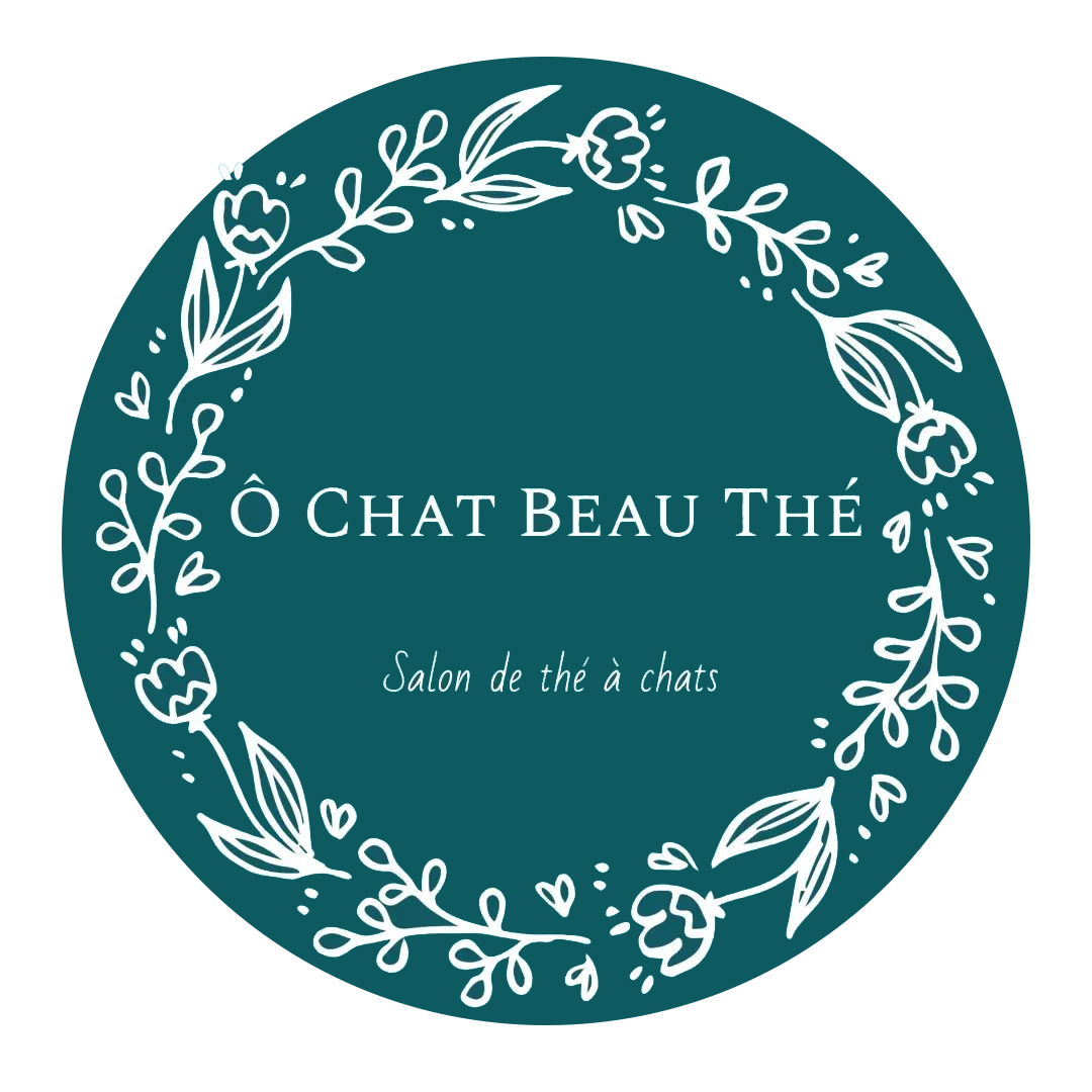 Logo O CHAT BEAU THÉ